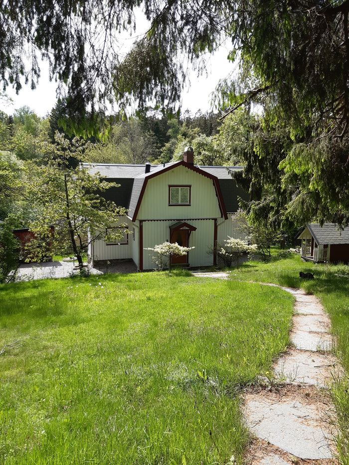 The cottage in summer