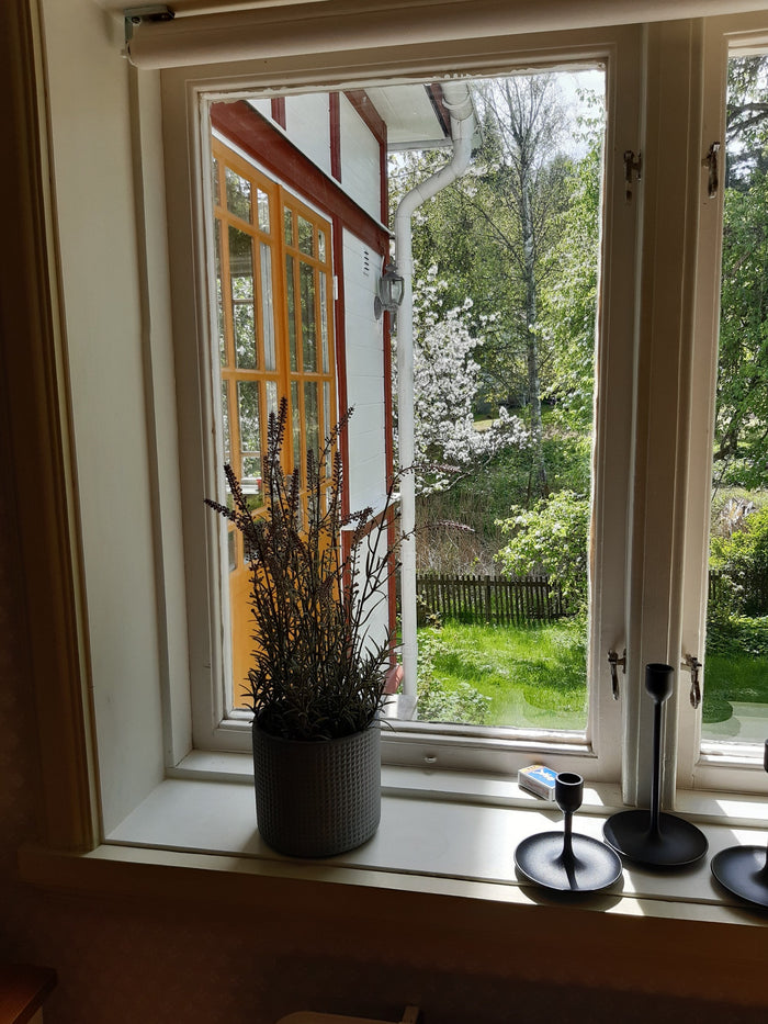 Window to the garden