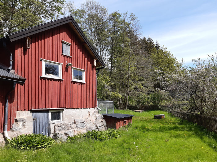 The old barn