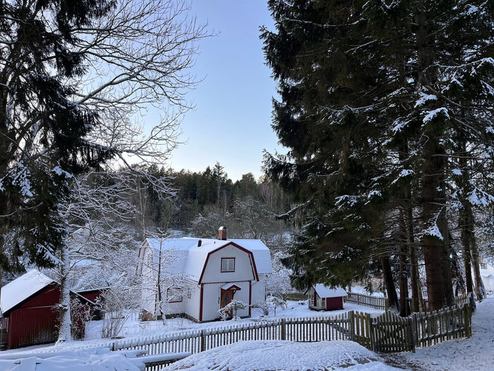 The cottage in winter
