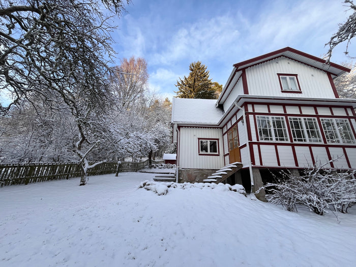 Snowy garden