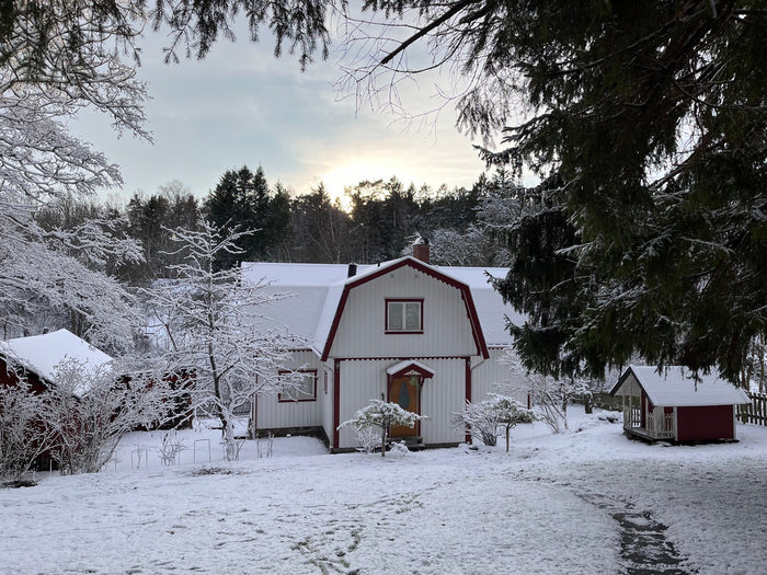 Winter evening