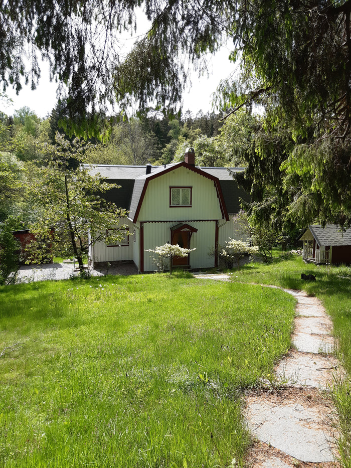 The cottage in summer